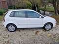 Volkswagen Polo 1.4-16V Comfortline 5-deurs AIRCO/cruise White - thumbnail 9
