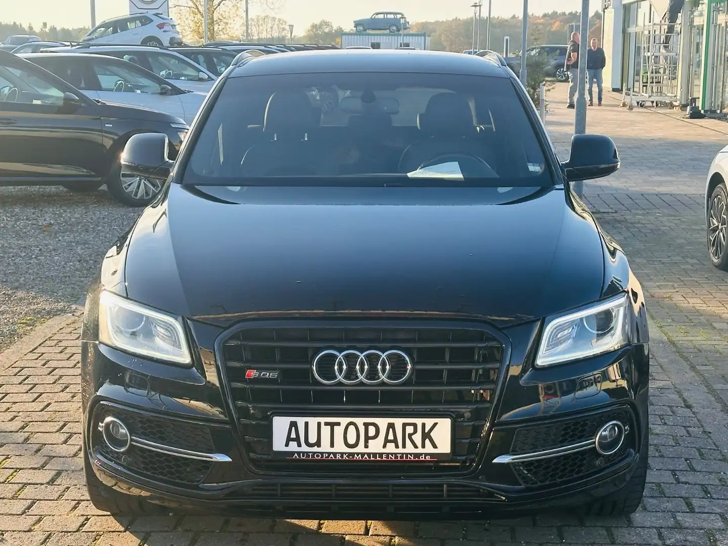 Audi SQ5 3.0 TDI competition quattro *ALCANTARA*NAVI* Schwarz - 2