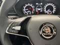 Skoda Fabia 1.0 MPI Active 55kW Blanco - thumbnail 8