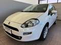 Fiat Punto 1.2 8V 5 porte MyStyle Blanc - thumbnail 1
