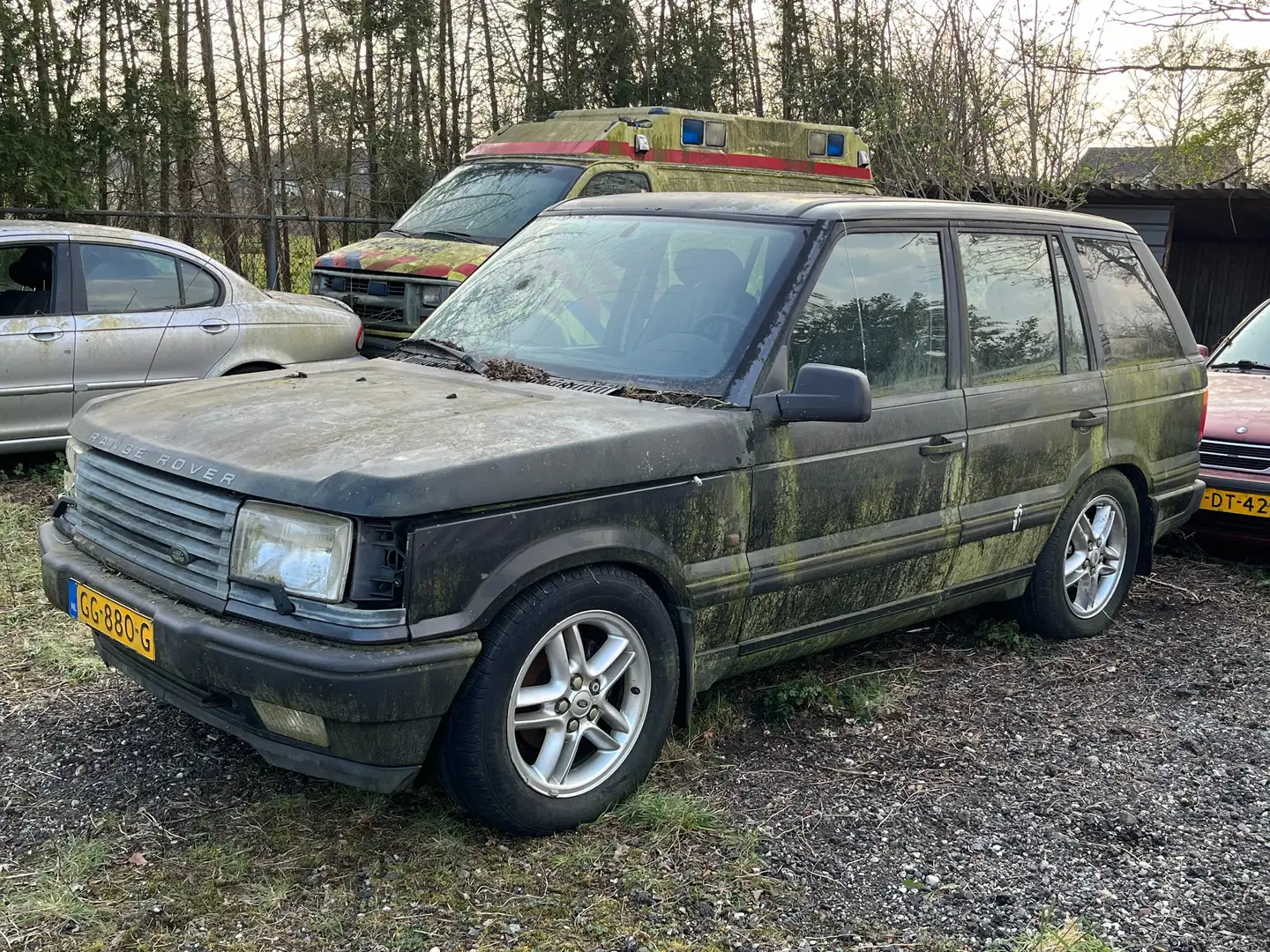 Land Rover Range Rover Range Rover 4.6 HSE - 1