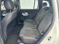 Mercedes-Benz GLB 250 4MATIC AMG Line Distr KeyGo PTS Shz LED Weiß - thumbnail 9