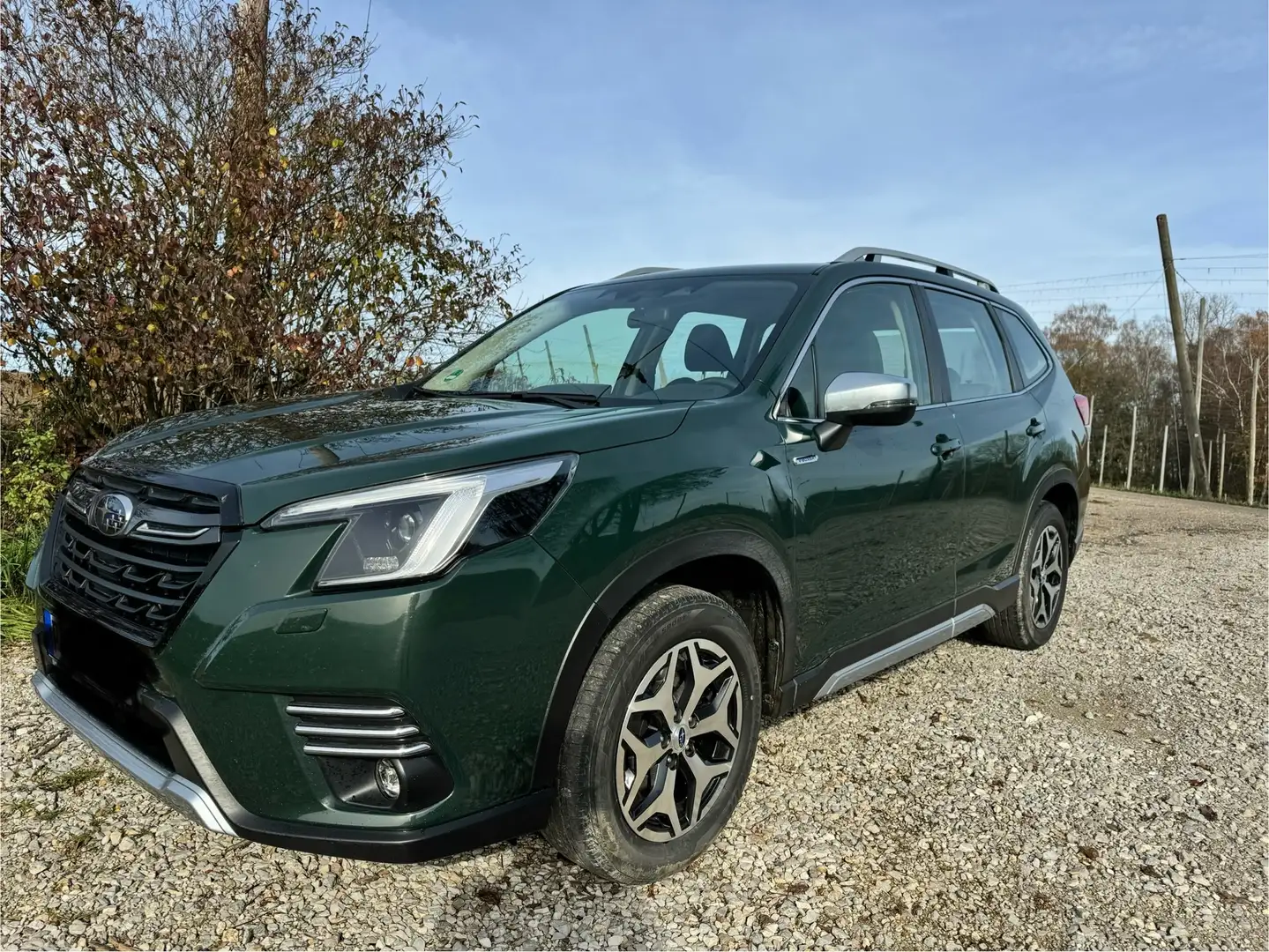 Subaru Forester Forester 2.0X Lineartronic Special Vert - 1