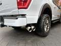 Ford F 150 5.0L ROUSH 4x4 Leder CarPlay AHK 360° Biały - thumbnail 9
