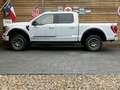Ford F 150 5.0L ROUSH 4x4 Leder CarPlay AHK 360° Weiß - thumbnail 17
