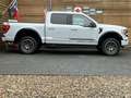 Ford F 150 5.0L ROUSH 4x4 Leder CarPlay AHK 360° Weiß - thumbnail 16