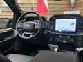 Ford F 150 5.0L ROUSH 4x4 Leder CarPlay AHK 360° Weiß - thumbnail 20
