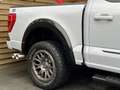 Ford F 150 5.0L ROUSH 4x4 Leder CarPlay AHK 360° Biały - thumbnail 10