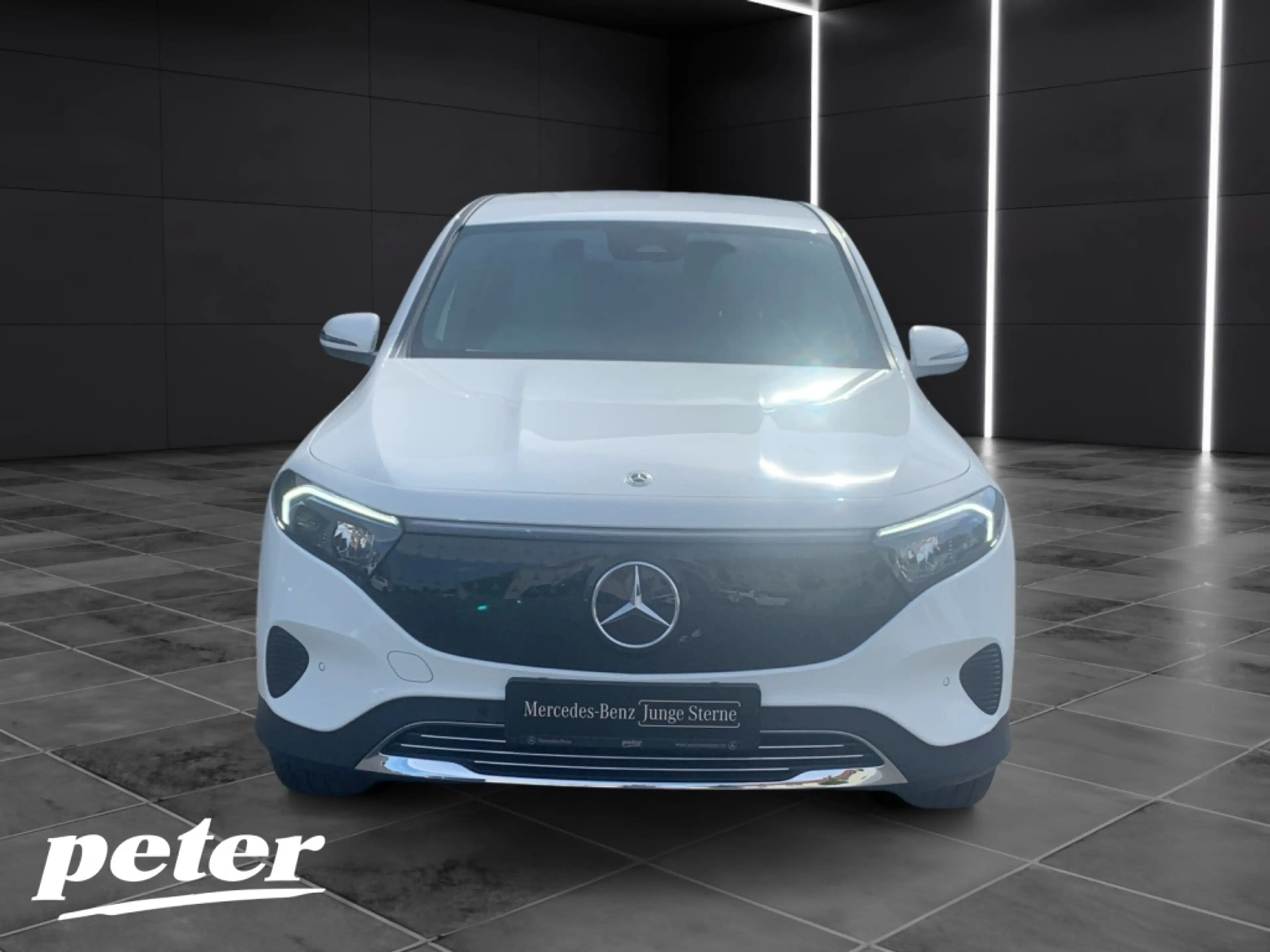 Mercedes-Benz EQB 250 + Progressive Advanced*Winter Paket — photo 2