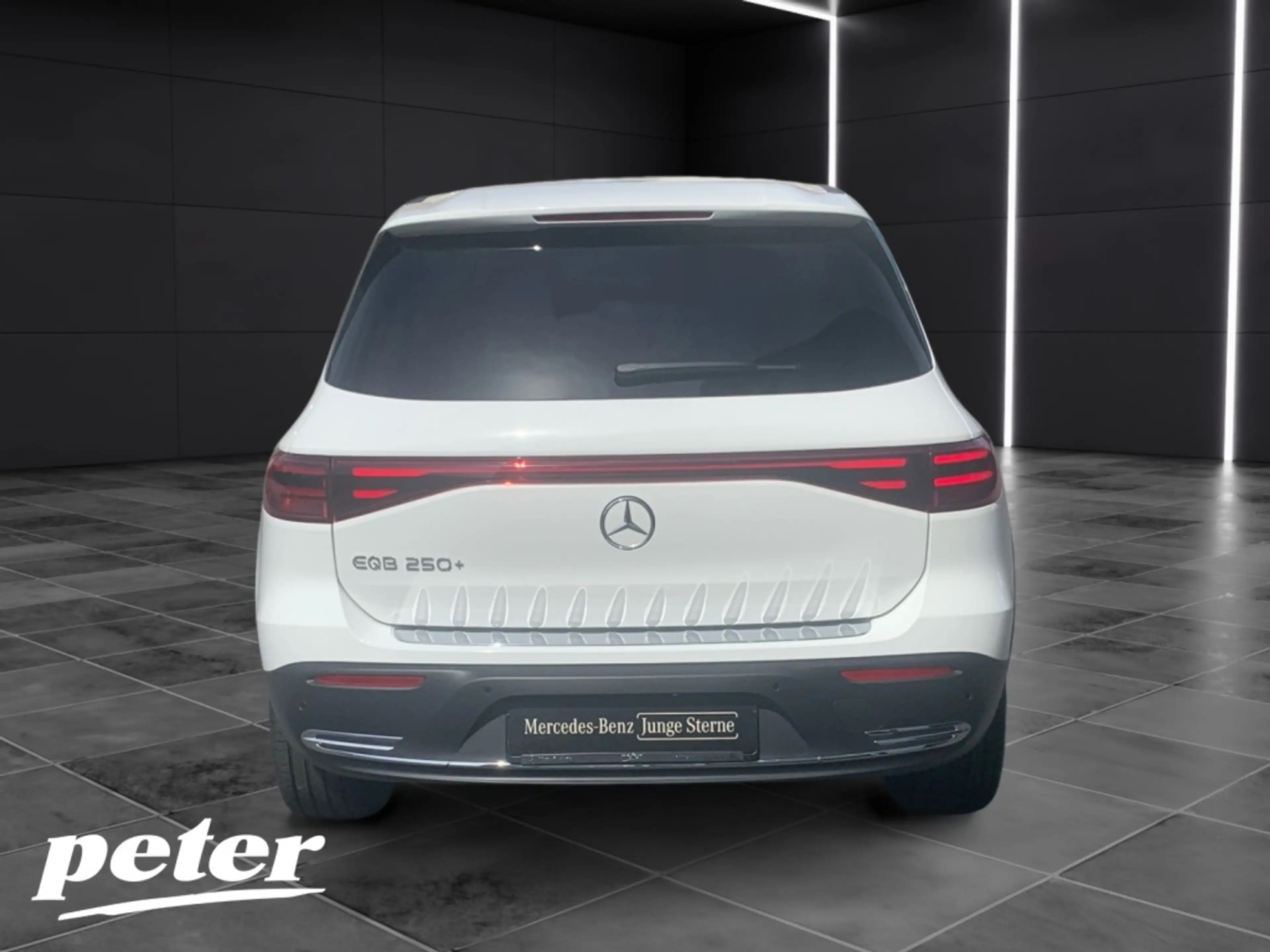 Mercedes-Benz EQB 250 + Progressive Advanced*Winter Paket — photo 4