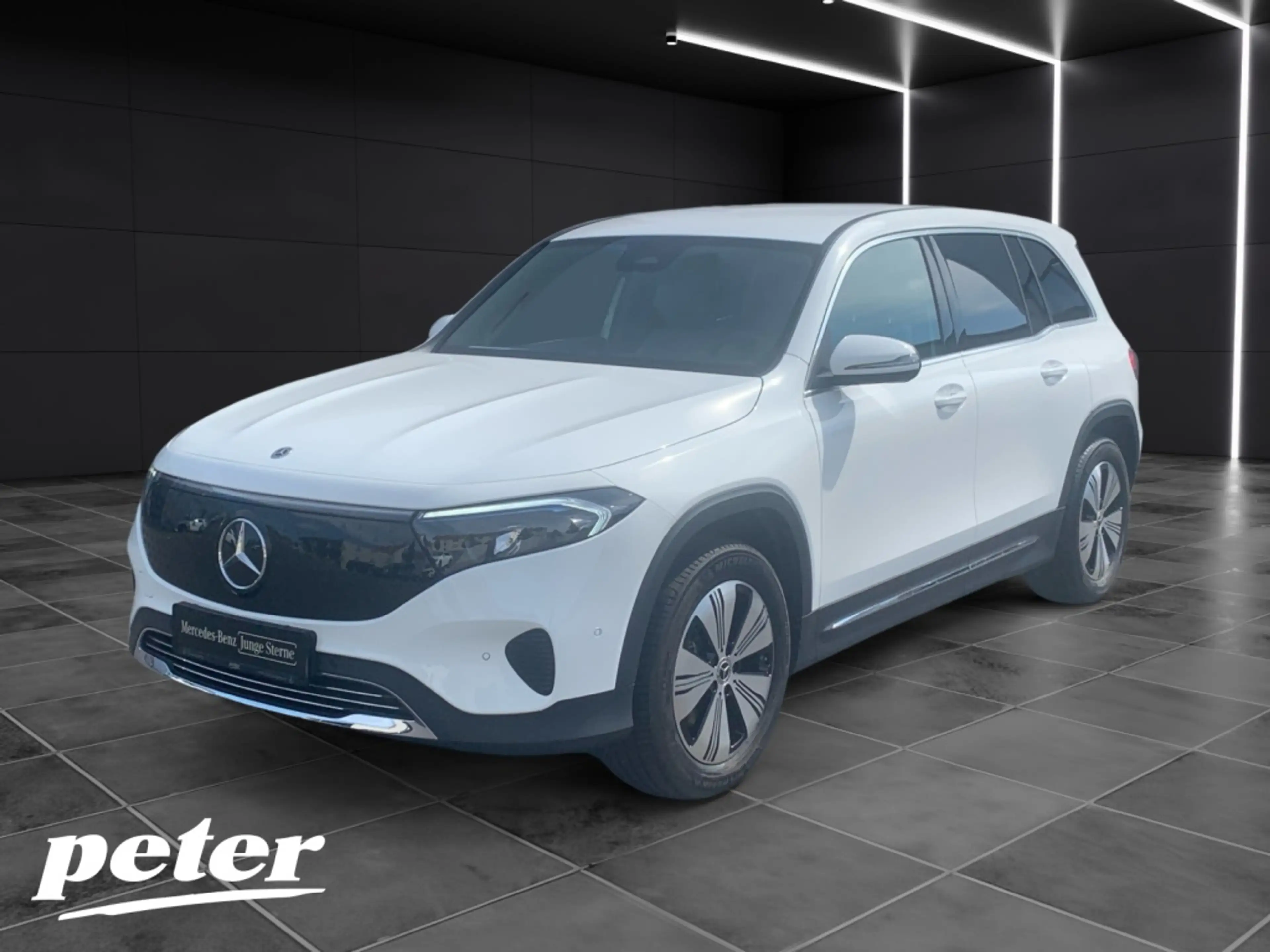 Mercedes-Benz EQB 250 + Progressive Advanced*Winter Paket