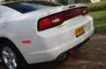Dodge Charger 3.6 V6 Aut. | 1e Eigenaar | Unieke Staat | Histori Fehér - thumbnail 13