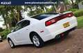 Dodge Charger 3.6 V6 Aut. | 1e Eigenaar | Unieke Staat | Histori Fehér - thumbnail 12