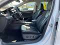 Skoda Octavia Combi 2,0 TDI Style DSG|ACC*HUD*TEILLEDER Weiß - thumbnail 13