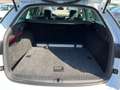 Skoda Octavia Combi 2,0 TDI Style DSG|ACC*HUD*TEILLEDER Weiß - thumbnail 15