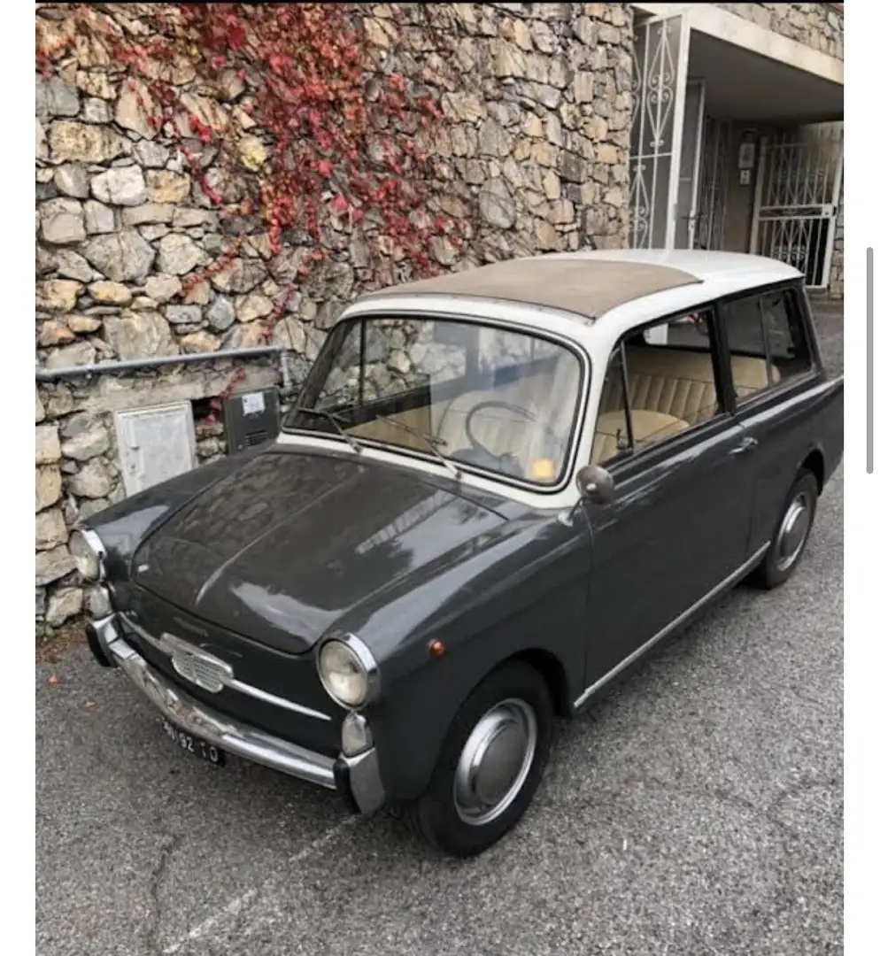 Autobianchi Sonstige Bianchina - 1