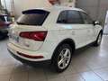 Audi Q5 2.0 tdi Business quattro 190cv !IVA ESPOSTA! Weiß - thumbnail 6