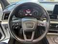 Audi Q5 2.0 tdi Business quattro 190cv !IVA ESPOSTA! Weiß - thumbnail 10