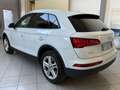 Audi Q5 2.0 tdi Business quattro 190cv !IVA ESPOSTA! Weiß - thumbnail 4