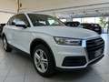 Audi Q5 2.0 tdi Business quattro 190cv !IVA ESPOSTA! Weiß - thumbnail 1