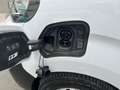 Peugeot Expert 75kwh 136cv Premium Standard Bianco - thumbnail 21