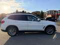 BMW X3 X3 G01 Xdrive20d 190cv INDIVIDUAL IVA ESPOSTA Wit - thumbnail 5