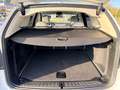 BMW X3 X3 G01 Xdrive20d 190cv INDIVIDUAL IVA ESPOSTA Wit - thumbnail 19