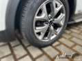 Kia Sorento 2.2 CRDi AWD PLATINUM +Soundsystem+Rückfahrkamera Weiß - thumbnail 6