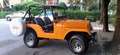 Jeep CJ-5 d'Epoca Orange - thumbnail 8