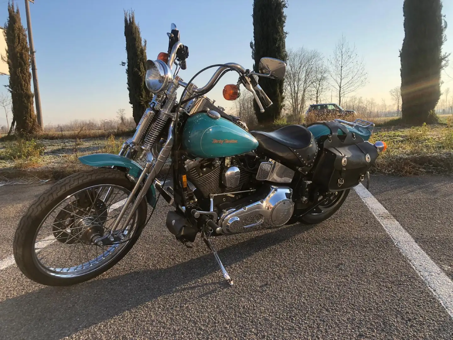 Harley-Davidson Softail Springer Blu/Azzurro - 1