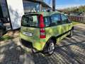 Fiat Panda Panda  1.2 Climbing 4x4 Vert - thumbnail 5