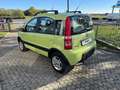 Fiat Panda Panda  1.2 Climbing 4x4 Groen - thumbnail 3