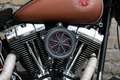 Harley-Davidson Fat Boy FLSTF Kahverengi - thumbnail 3