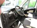 Citroen Jumper DOBLE CABINA Y CAJON BASCULANTE. Blanc - thumbnail 14