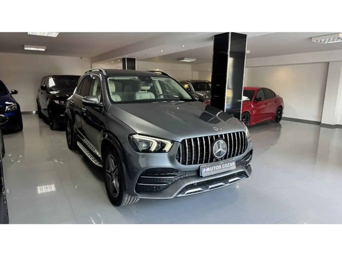 Mercedes-Benz GLE 300 300d 4Matic Aut. Gris - 2