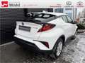 Toyota C-HR 1.8 Hybrid Flow Weiß - thumbnail 11