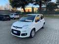 Fiat Panda 1.3 M-JET VAN AUTOCARRO (N1) 2 POSTI *EURO 6 Bianco - thumbnail 13