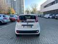 Fiat Panda 1.3 M-JET VAN AUTOCARRO (N1) 2 POSTI *EURO 6 Bianco - thumbnail 14