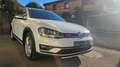 Volkswagen Sonstige Volkswagen Golf Alltrack Weiß - thumbnail 7