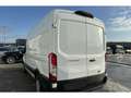 Ford Transit 350 2.0 TDCi L2H2 Trend/KAMERA/SHZ/ Blanc - thumbnail 2