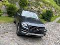 Mercedes-Benz ML 350 ML 350 BlueTEC 4MATIC Aut. DPF Niebieski - thumbnail 2