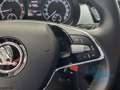 Skoda Fabia Combi 1.0 TSi Ambition Tempomat Smart-Link Silber - thumbnail 20