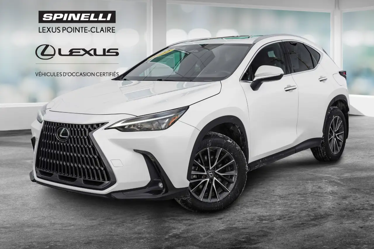 Lexus NX снимка Lexus NX