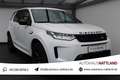 Land Rover Discovery Sport R-Dynamic S AWD Pano  Leder LED Weiß - thumbnail 1