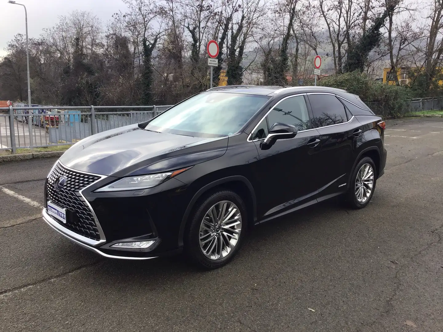 Lexus RX 450h 3.5 Luxury  CVT LUXURY  COME NUOVA Noir - 2