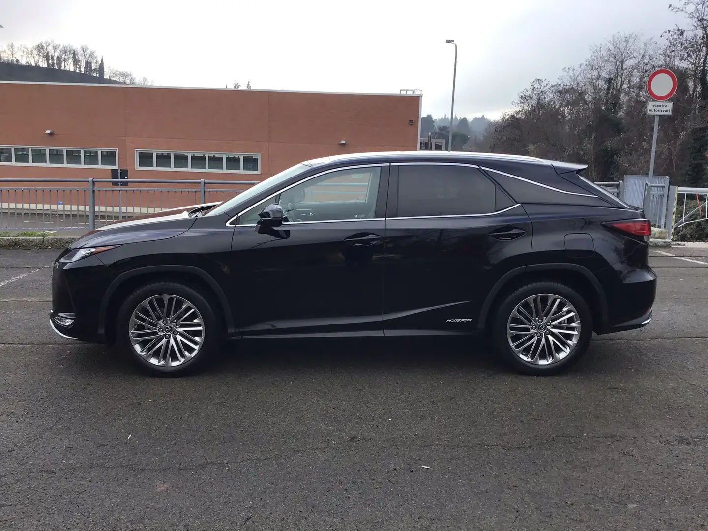 Lexus RX 450h 3.5 Luxury  CVT LUXURY  COME NUOVA Noir - 1