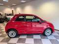 Fiat 500 500 1.0 hybrid Cult 70cv Rosso - thumbnail 5