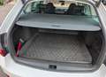 Skoda Octavia Octavia Combi 1,6 TDI Style DSG Style Weiß - thumbnail 16