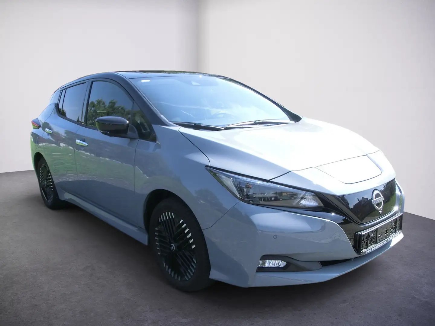 Nissan Leaf N-Connecta LED NAVI ProPilot Stauassist SHZ Šedá - 1