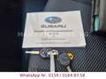 Subaru Forester Exclusive*Panorama-Dach* Kék - thumbnail 14